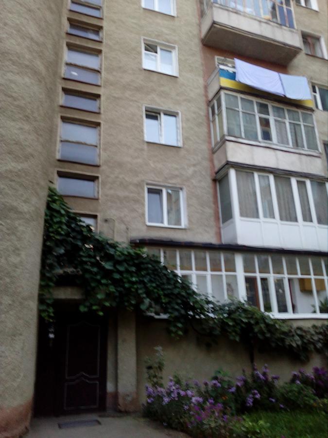 в центрі за драмтеатром. *